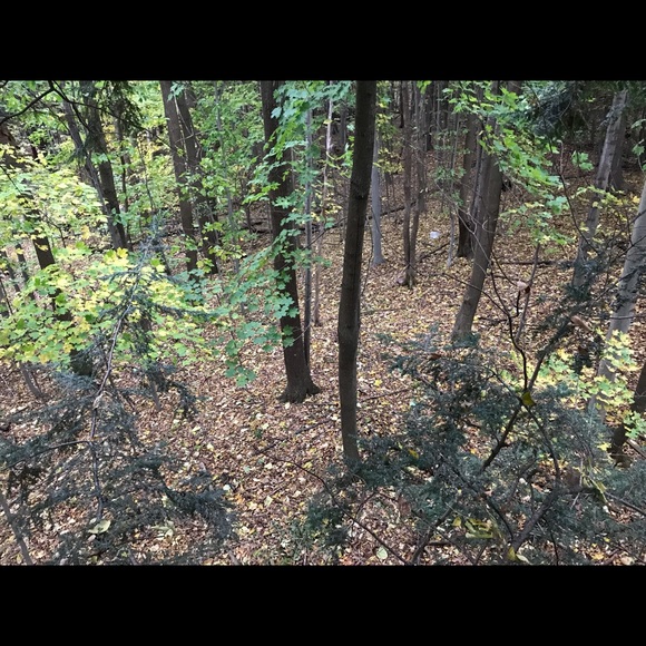 Meet your Posher, Butch - Picture 1 of 1